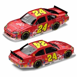 2011 Jeff Gordon 1/24th "Jeff Gordon Childrens Foundation" car